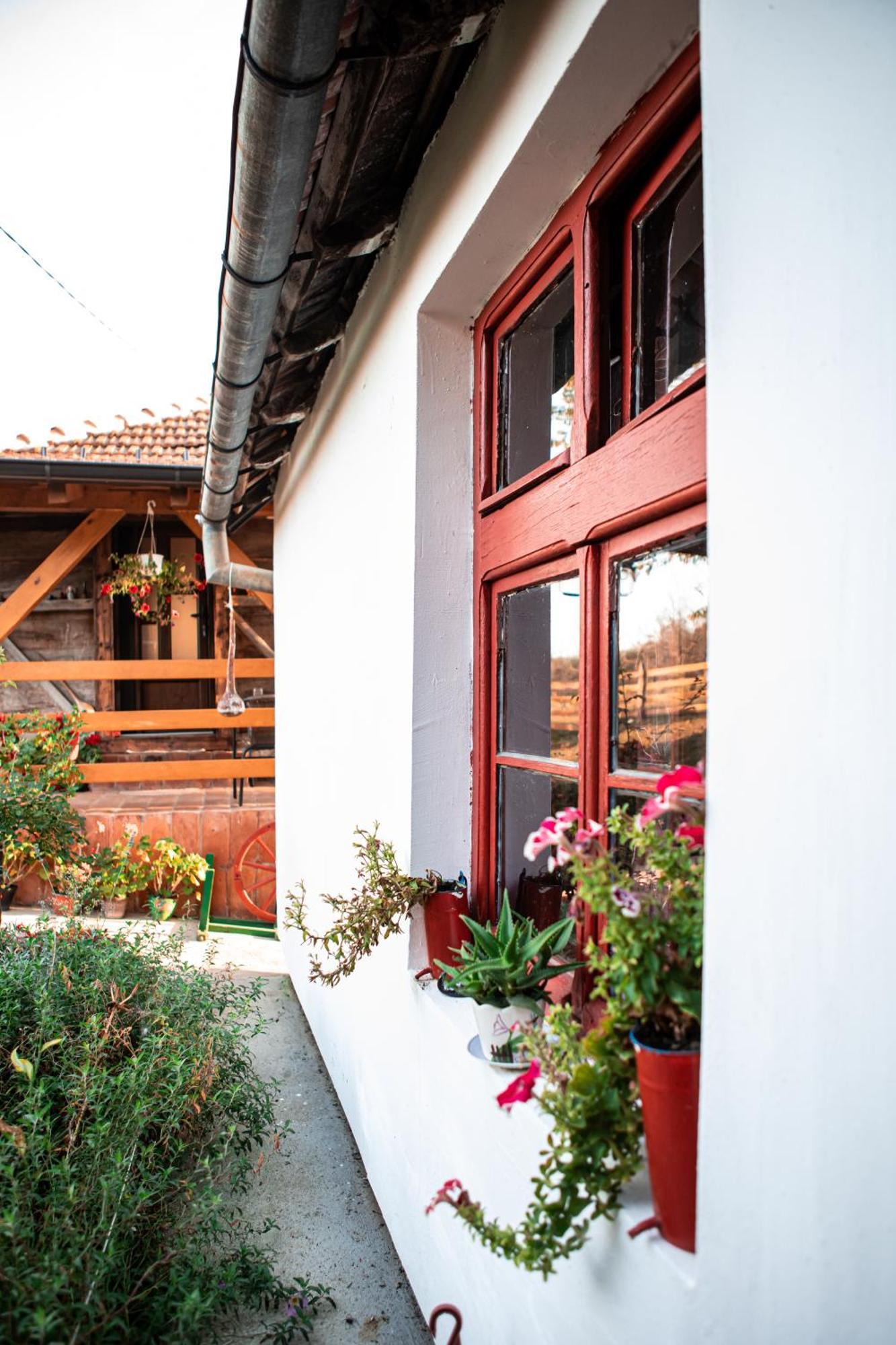 Prenociste Lelic Villa Valjevo Ngoại thất bức ảnh