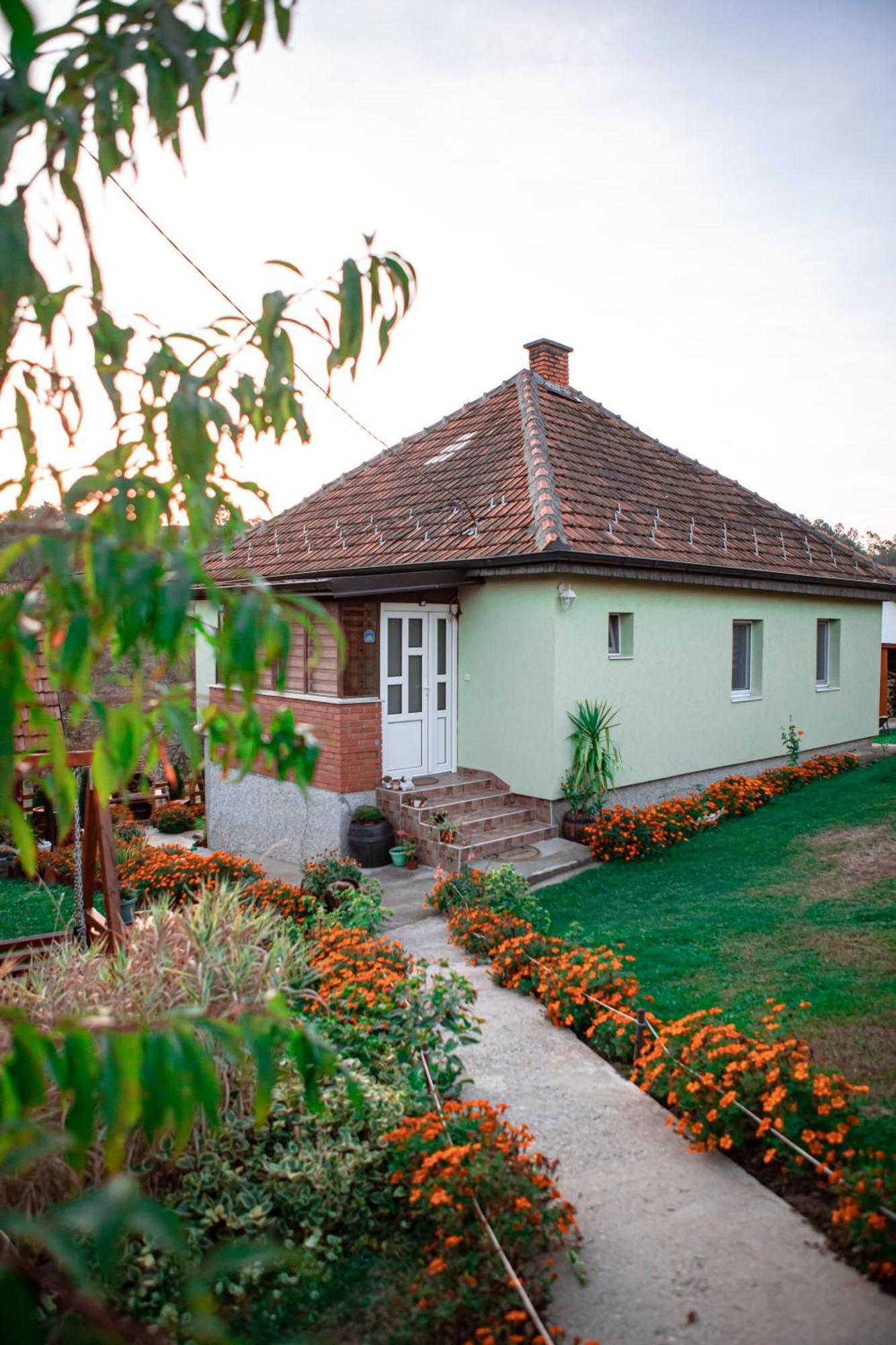 Prenociste Lelic Villa Valjevo Ngoại thất bức ảnh