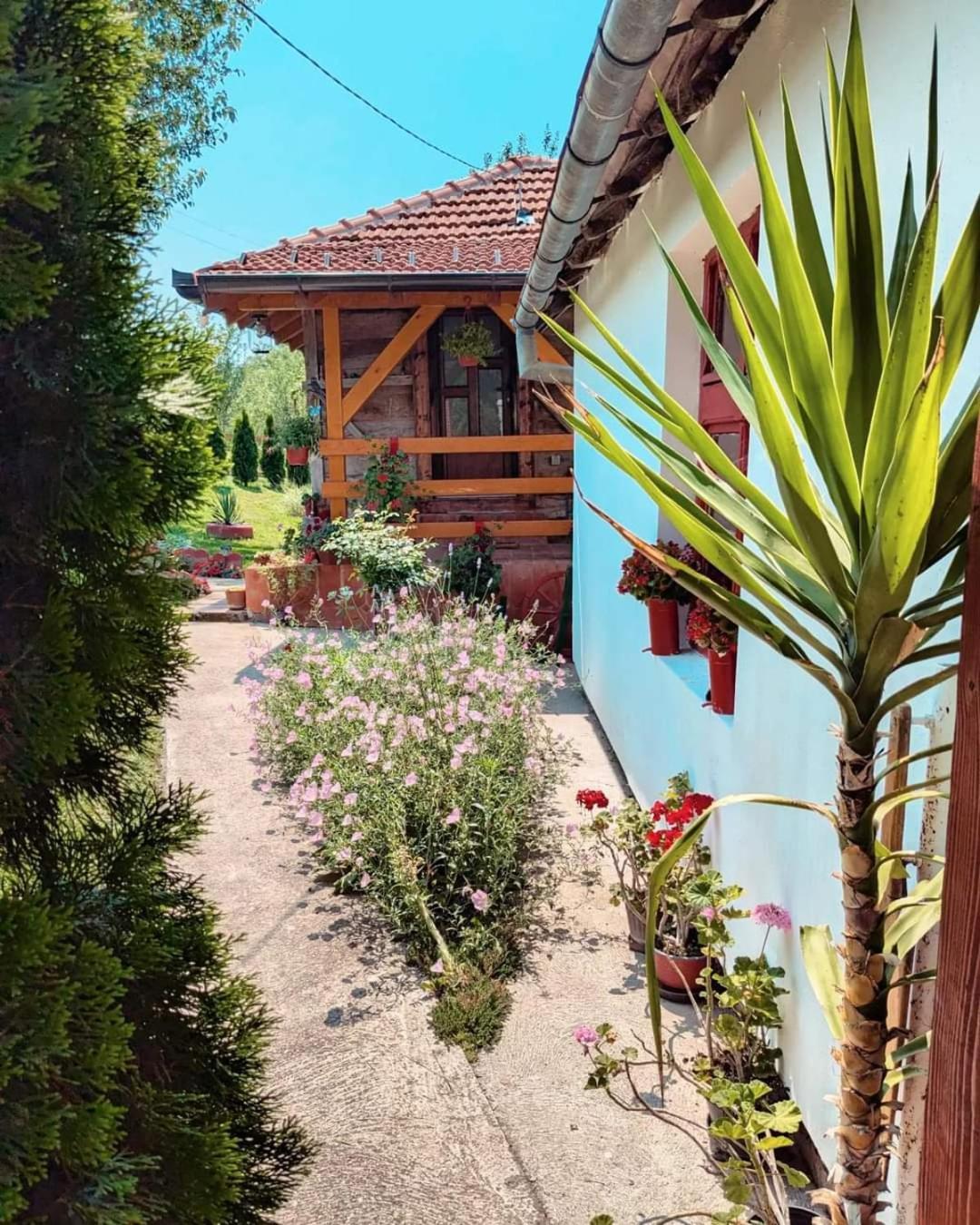 Prenociste Lelic Villa Valjevo Ngoại thất bức ảnh